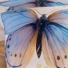 Pościel satynowa Darymex kolekcja Satynlove PREMIUM 220x200 wz. 12410